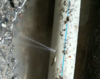 千阳卫生间测漏水多少钱